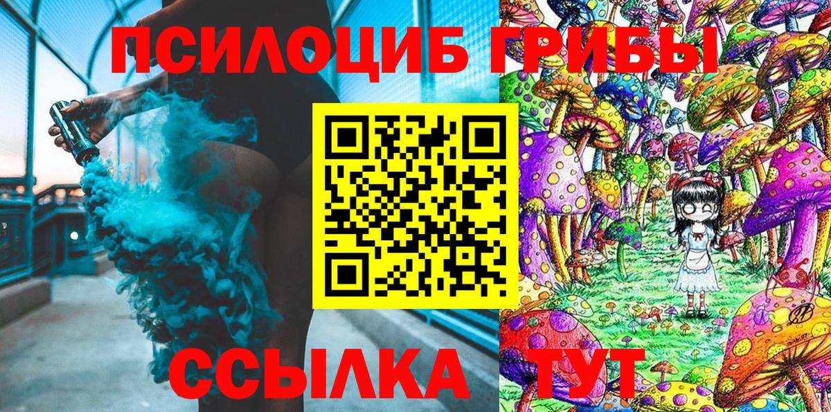 Кулебаки  Галлюциногенные грибы MAGIC MUSHROOMS  Вход с VPN 